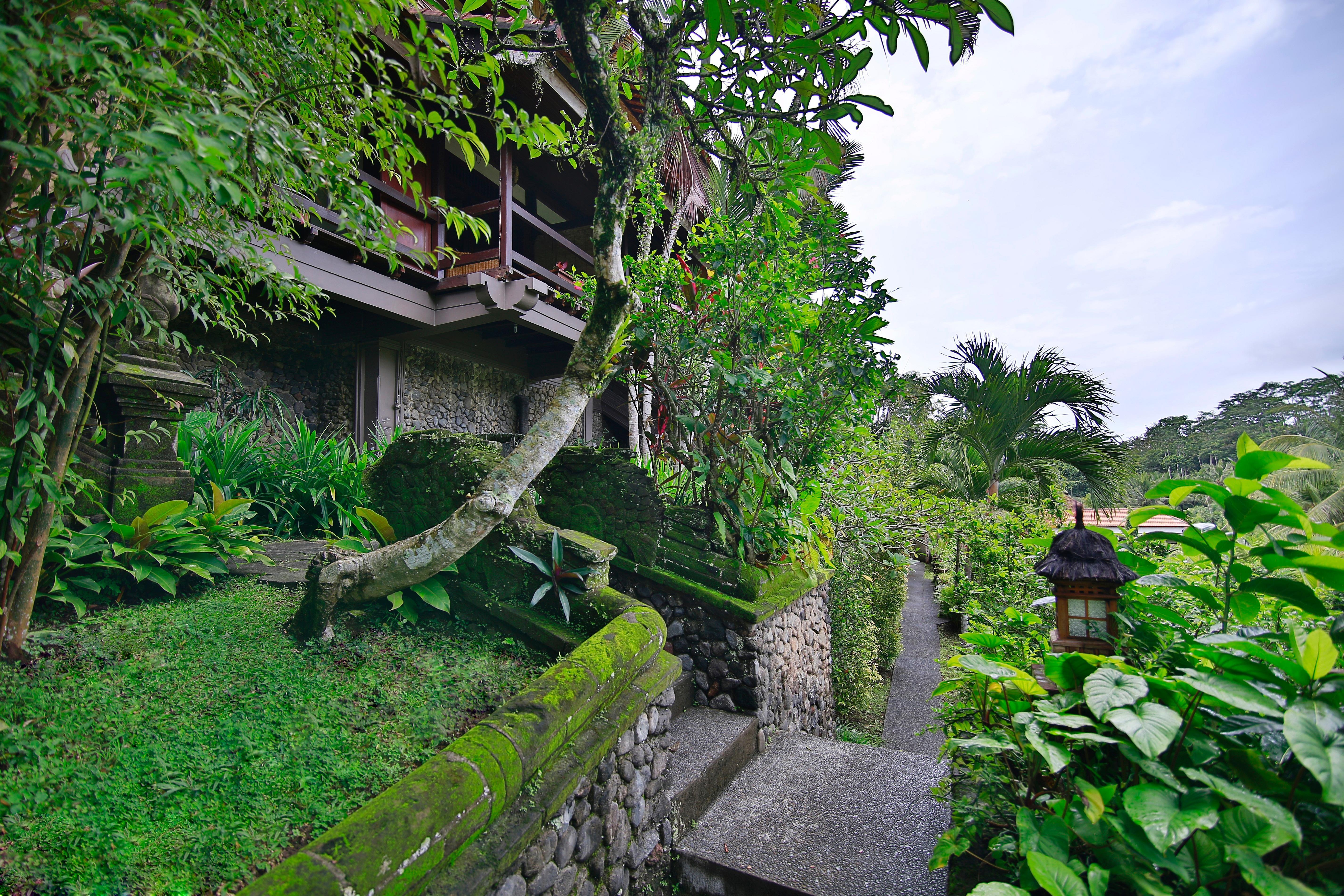 Hotel Bali Spirit And Spa, Ubud
